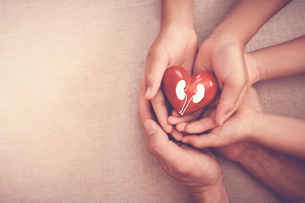 Kidney disease management – Things to keep in mind